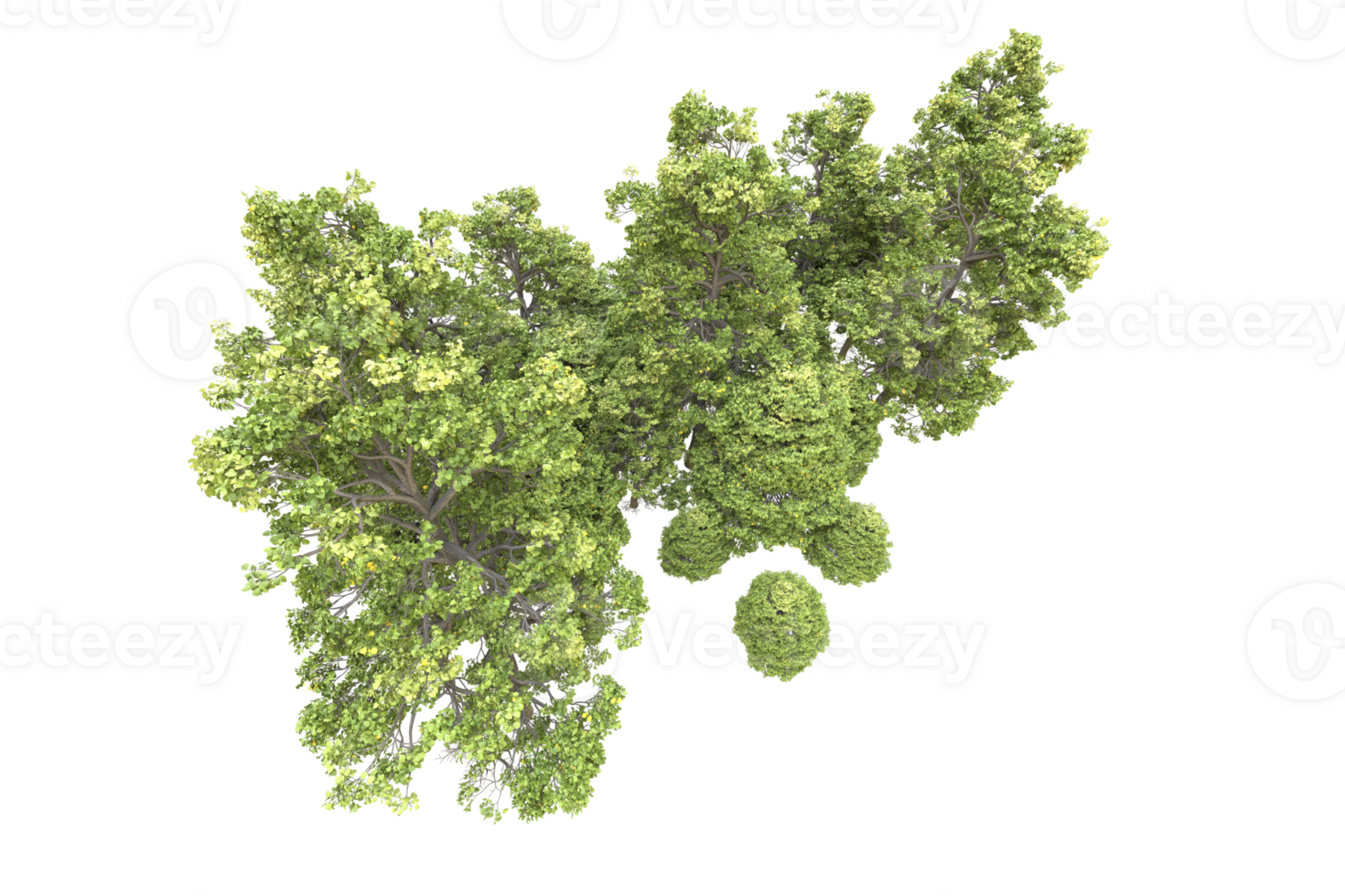 Realistic forest isolated on transparent background. 3d rendering - illustration png