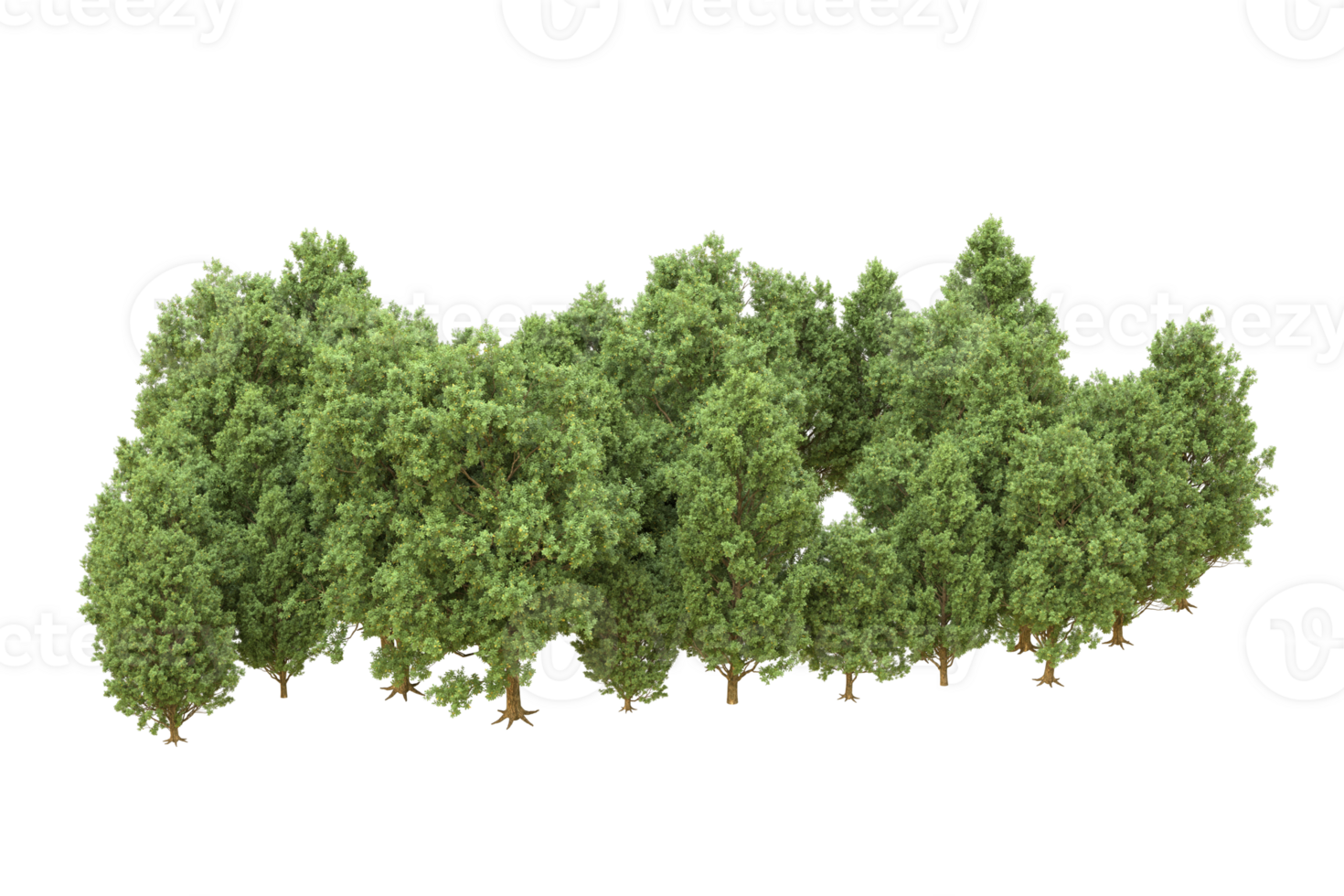 Realistic forest isolated on transparent background. 3d rendering - illustration png
