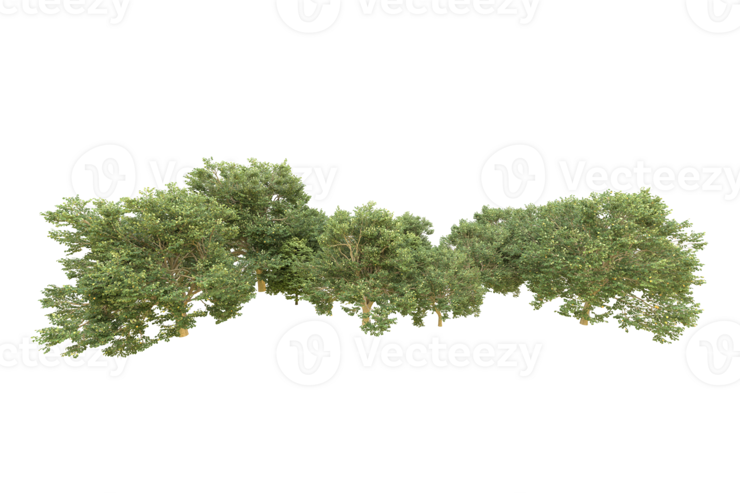 Realistic forest isolated on transparent background. 3d rendering - illustration png