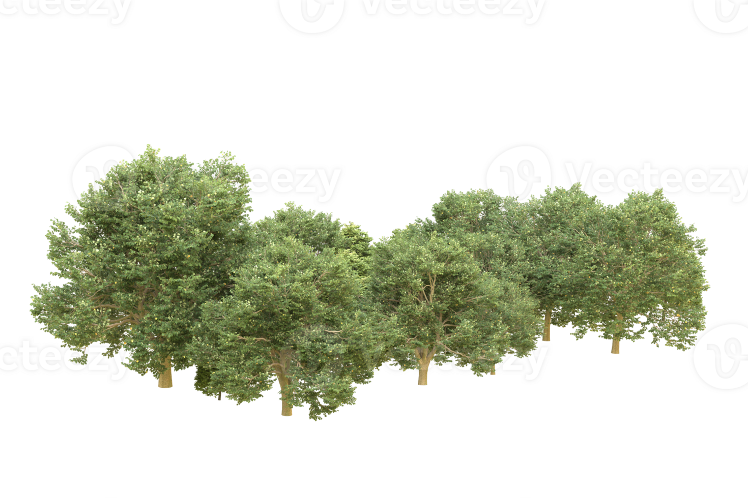 Realistic forest isolated on transparent background. 3d rendering - illustration png