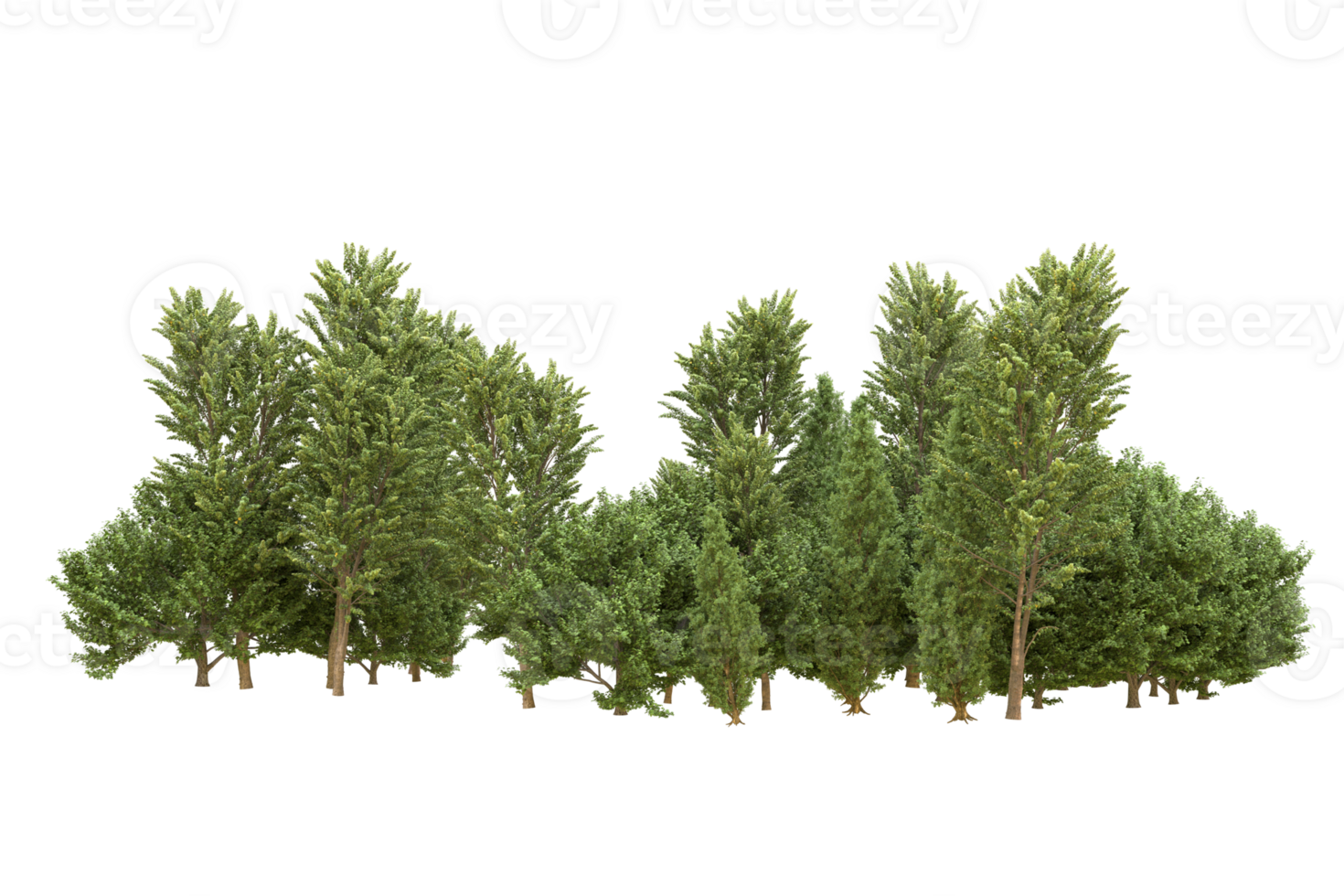 Realistic forest isolated on transparent background. 3d rendering - illustration png