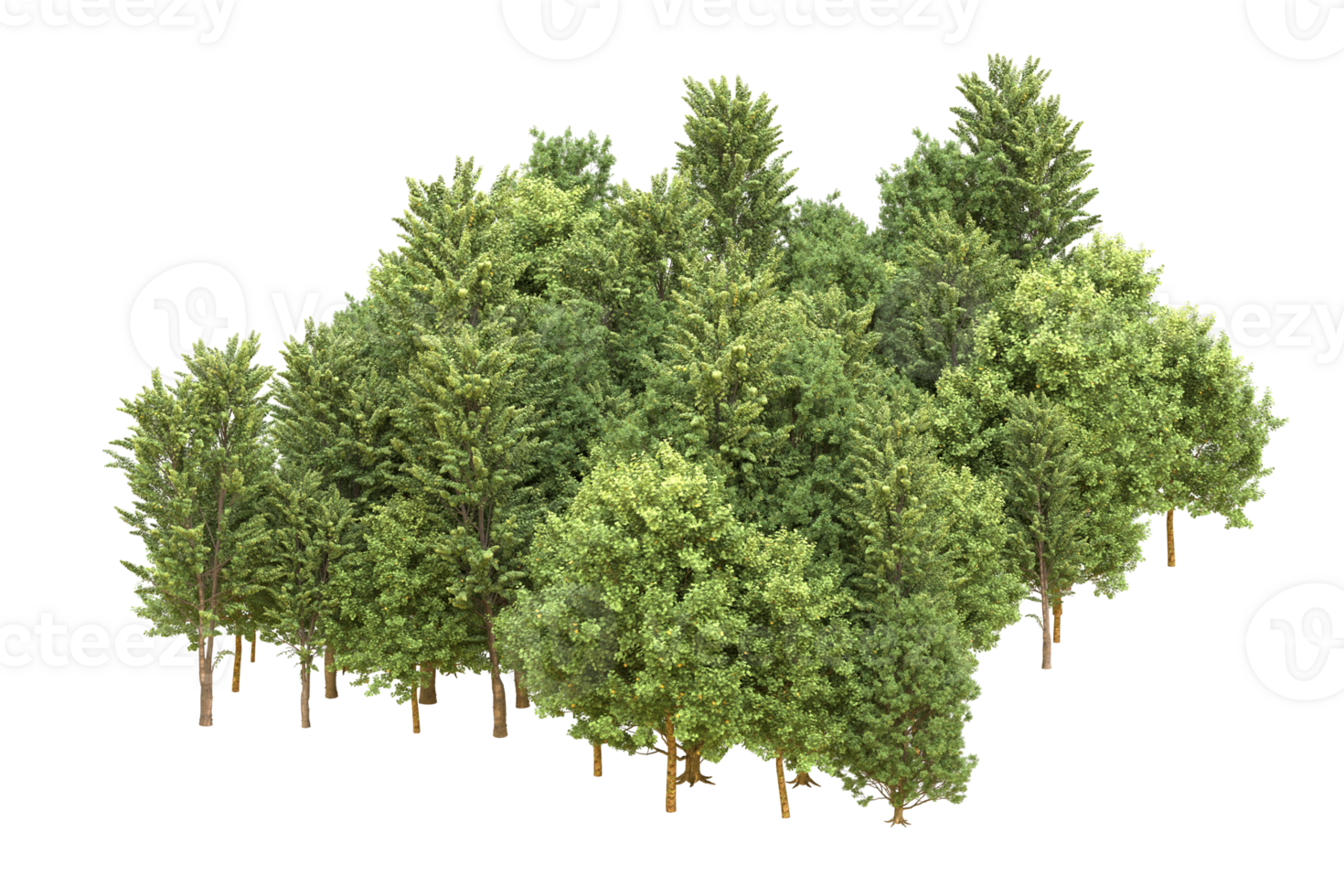 Realistic forest isolated on transparent background. 3d rendering - illustration png