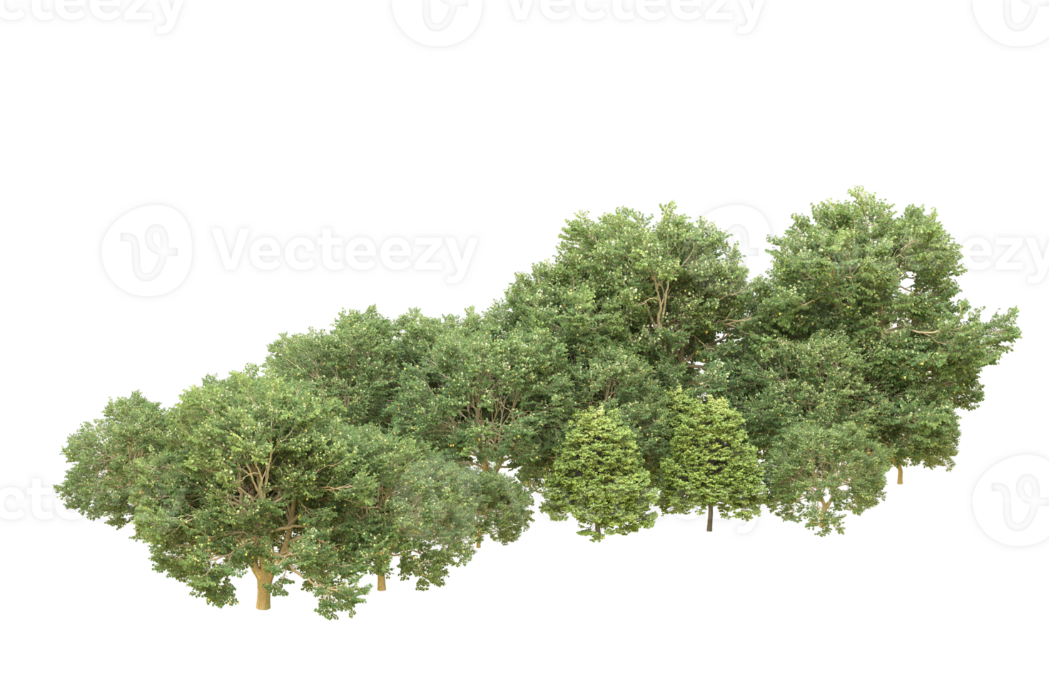 Realistic forest isolated on transparent background. 3d rendering - illustration png