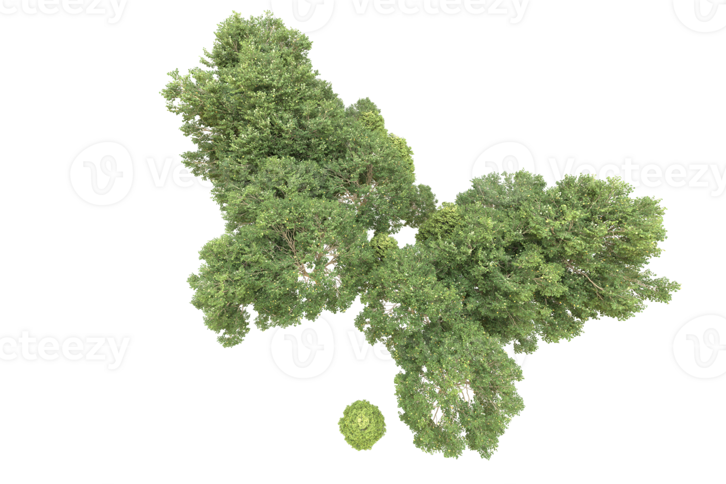 Realistic forest isolated on transparent background. 3d rendering - illustration png