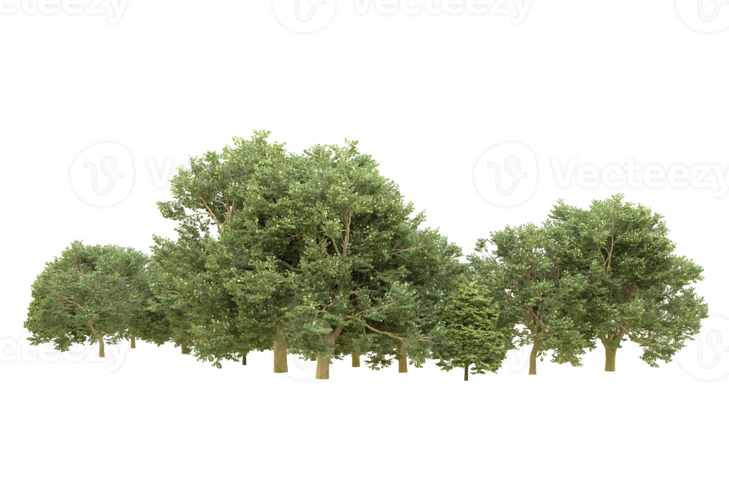 Realistic forest isolated on transparent background. 3d rendering - illustration png