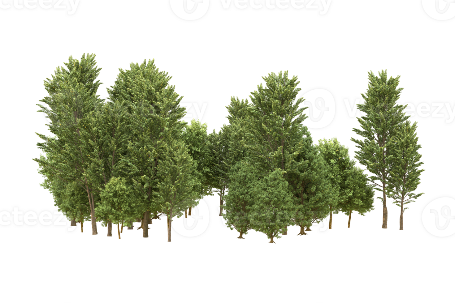 Realistic forest isolated on transparent background. 3d rendering - illustration png