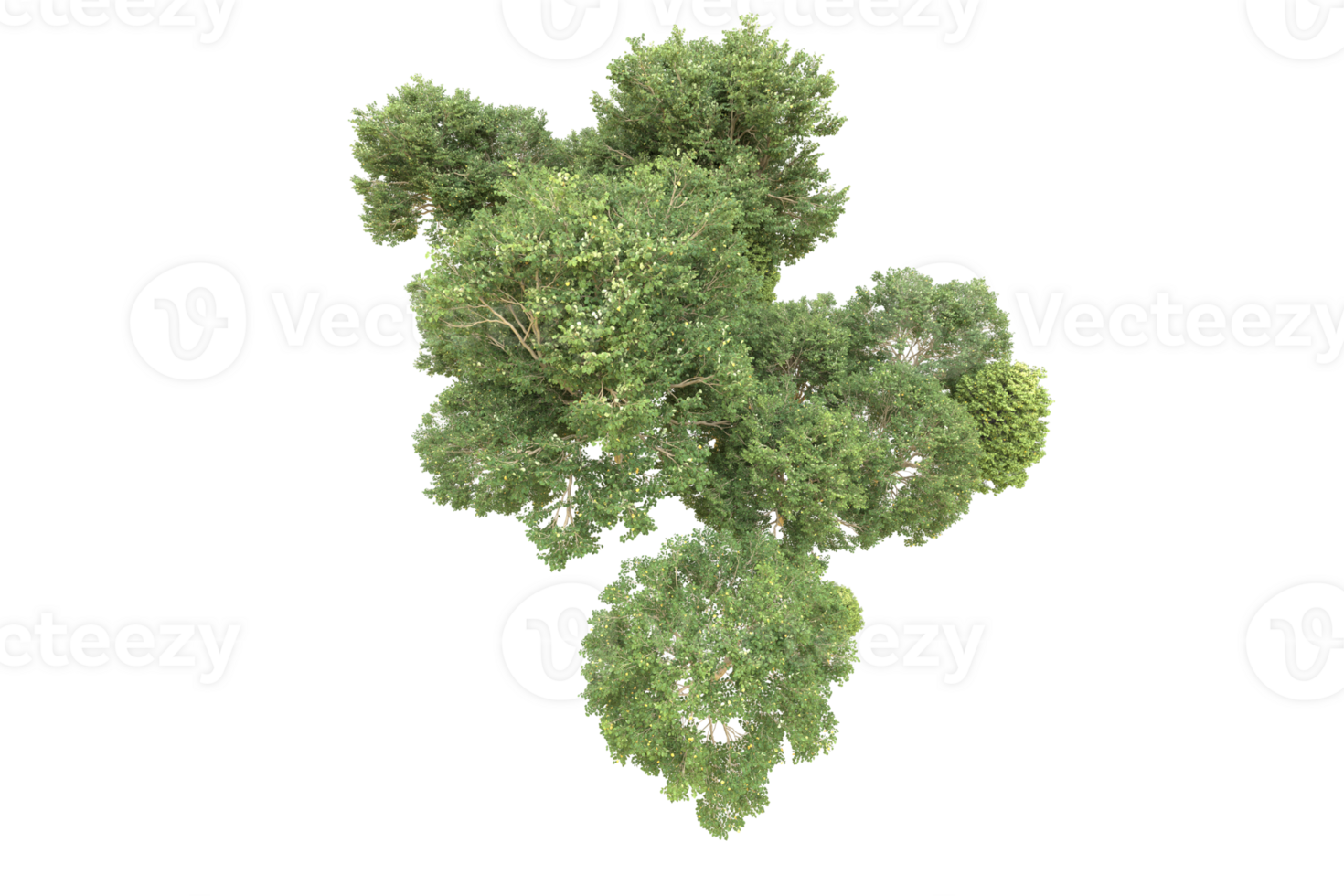 Realistic forest isolated on transparent background. 3d rendering - illustration png
