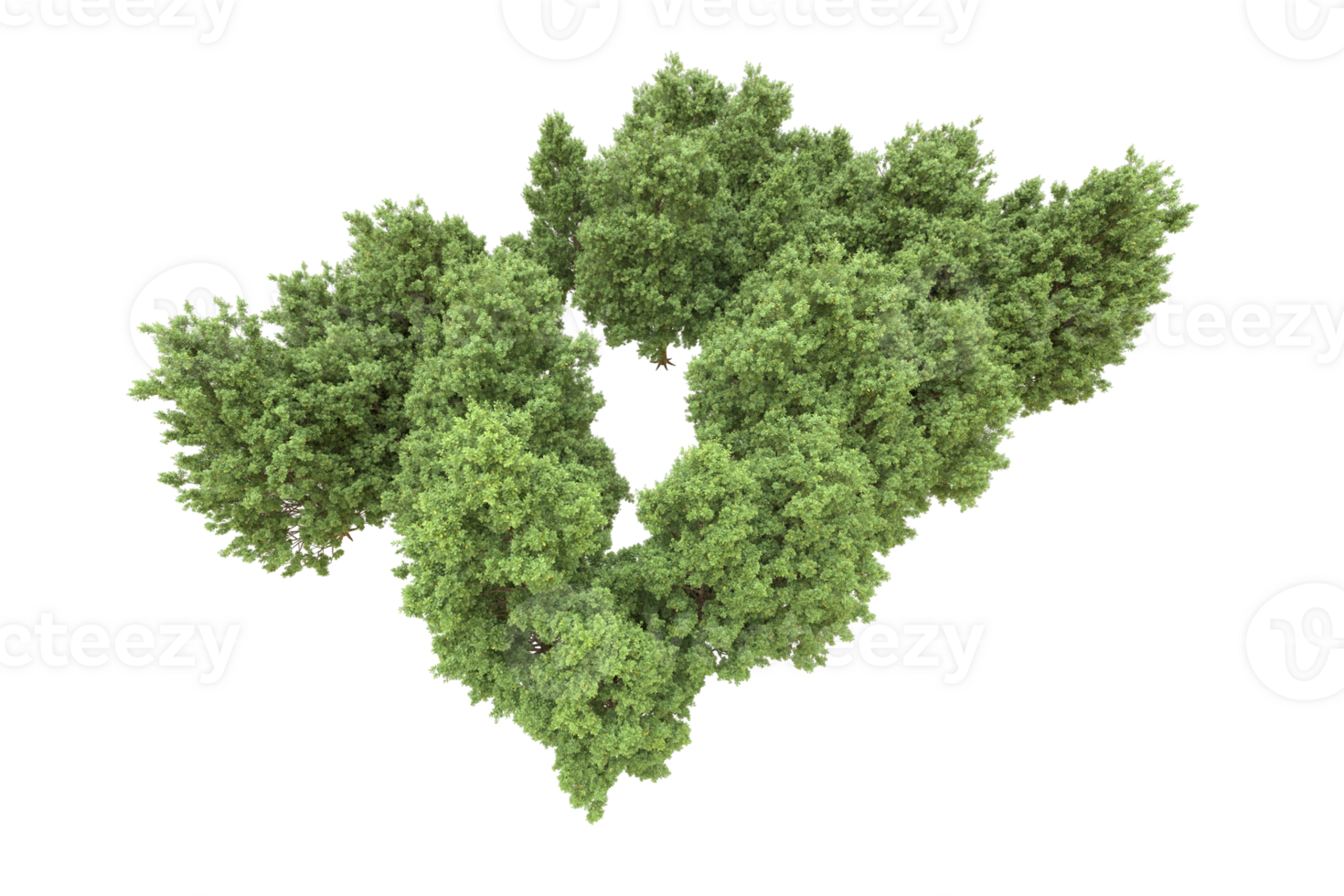 Realistic forest isolated on transparent background. 3d rendering - illustration png