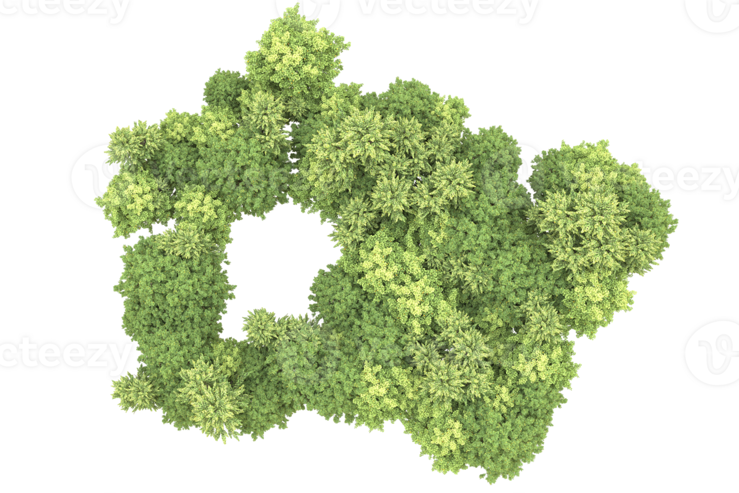 Realistic forest isolated on transparent background. 3d rendering - illustration png