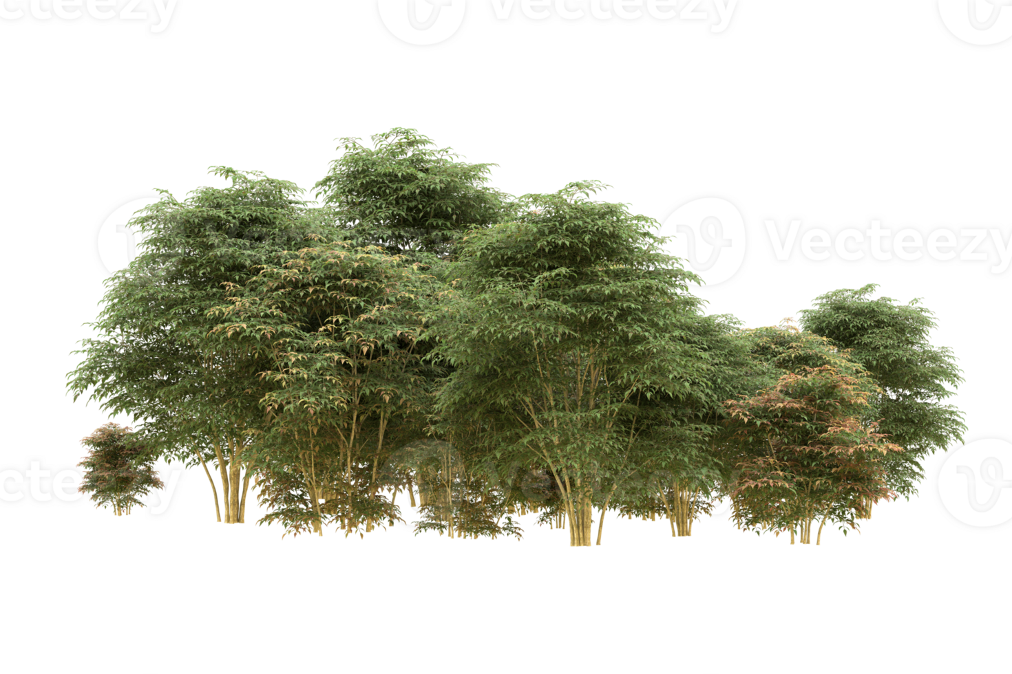 Realistic forest isolated on transparent background. 3d rendering - illustration png