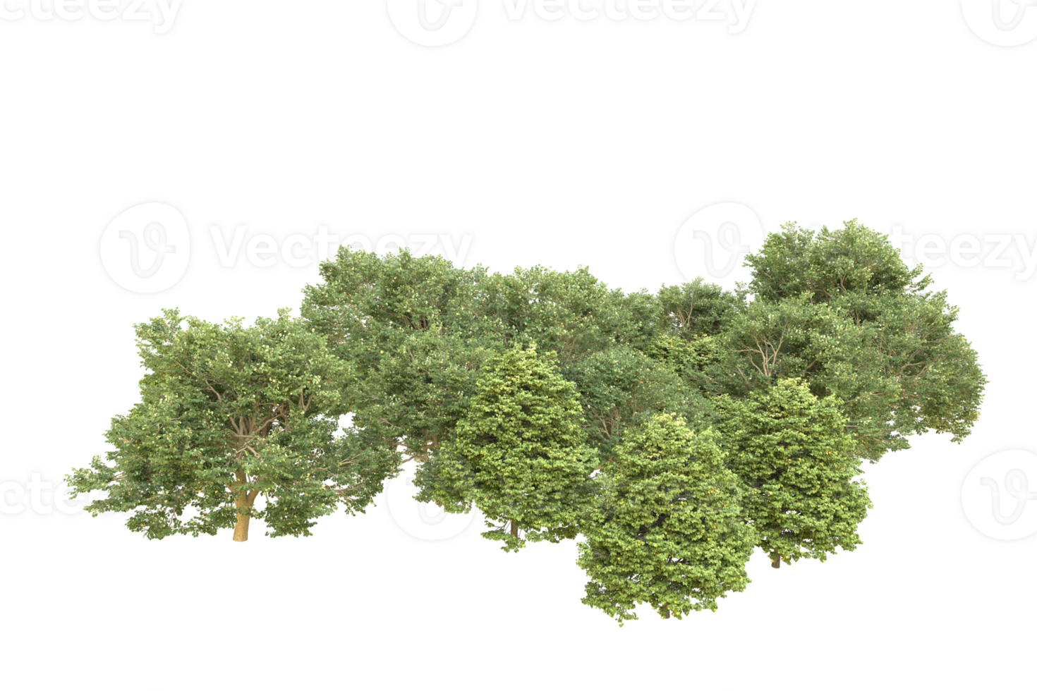 Realistic forest isolated on transparent background. 3d rendering - illustration png