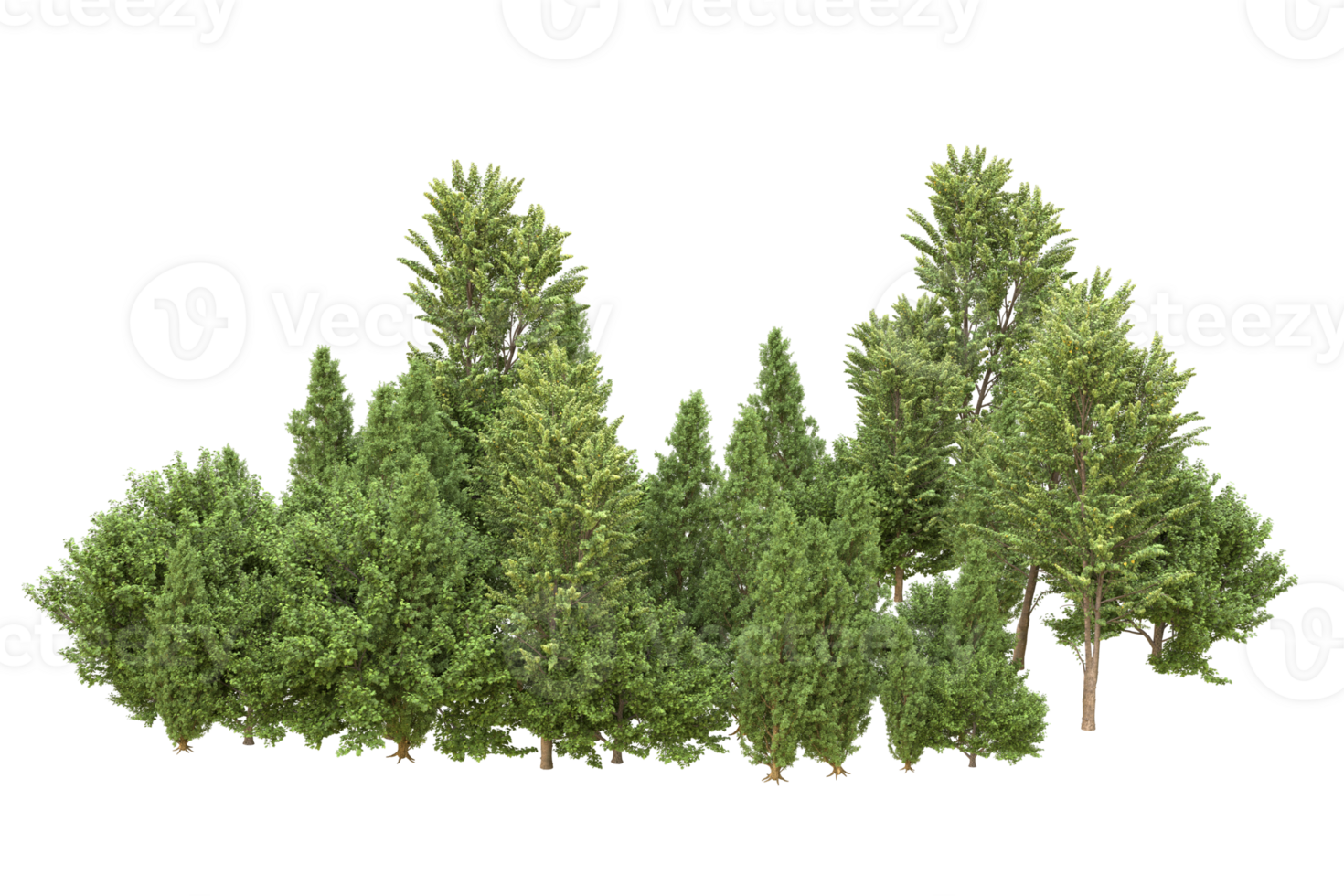 Realistic forest isolated on transparent background. 3d rendering - illustration png