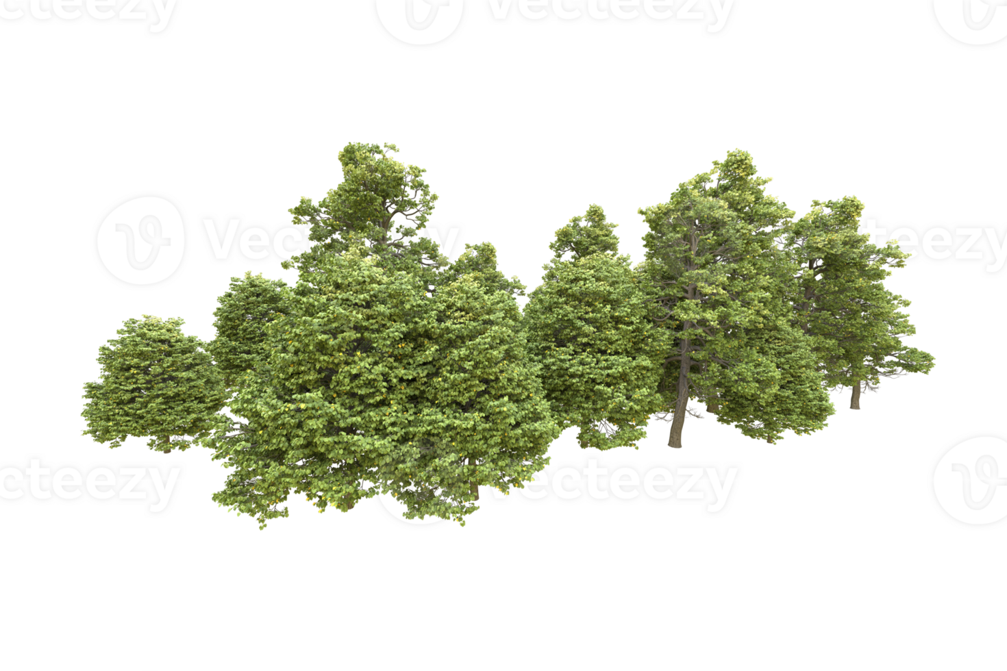 Realistic forest isolated on transparent background. 3d rendering - illustration png