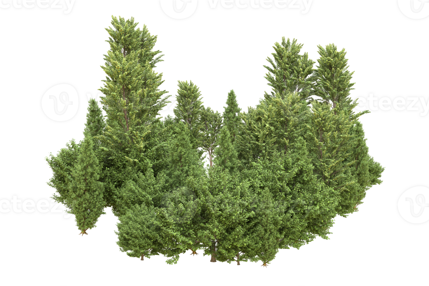 Realistic forest isolated on transparent background. 3d rendering - illustration png
