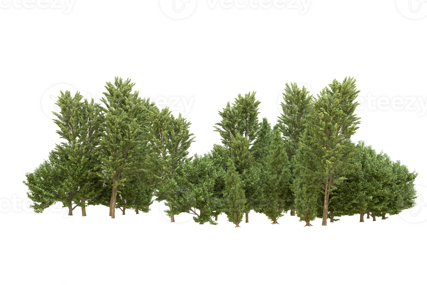Realistic forest isolated on transparent background. 3d rendering - illustration png