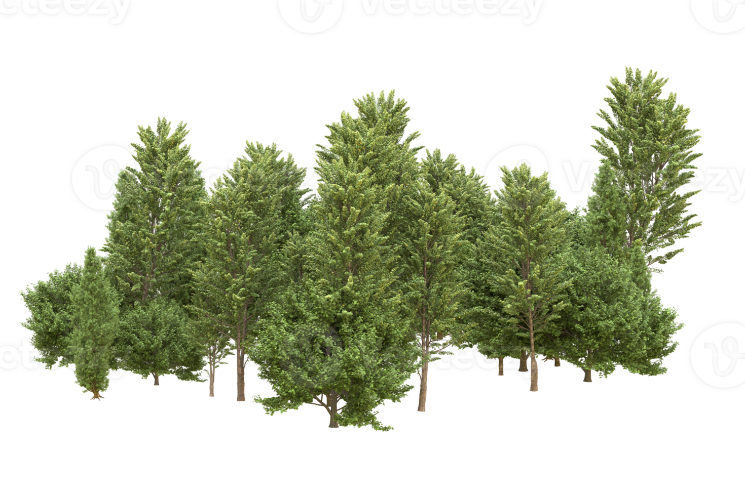 Realistic forest isolated on transparent background. 3d rendering - illustration png