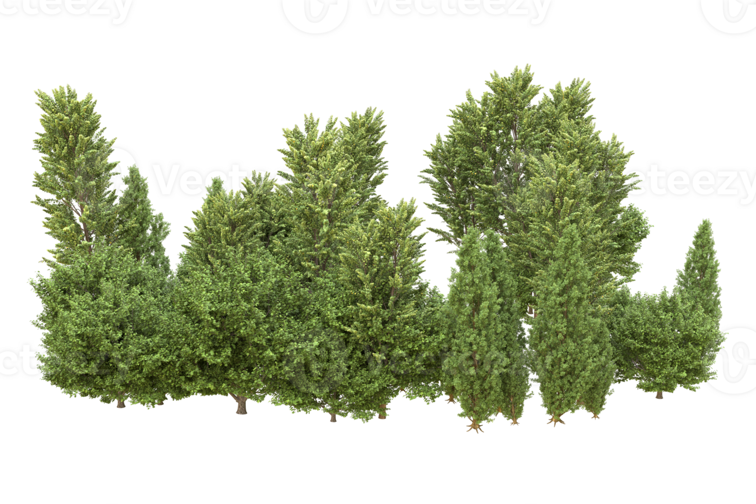 Realistic forest isolated on transparent background. 3d rendering - illustration png