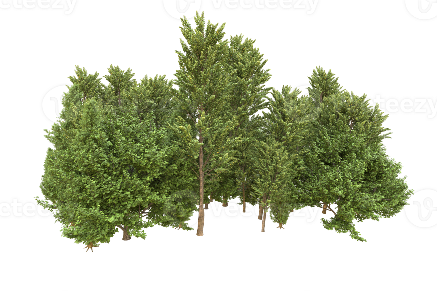 Realistic forest isolated on transparent background. 3d rendering - illustration png