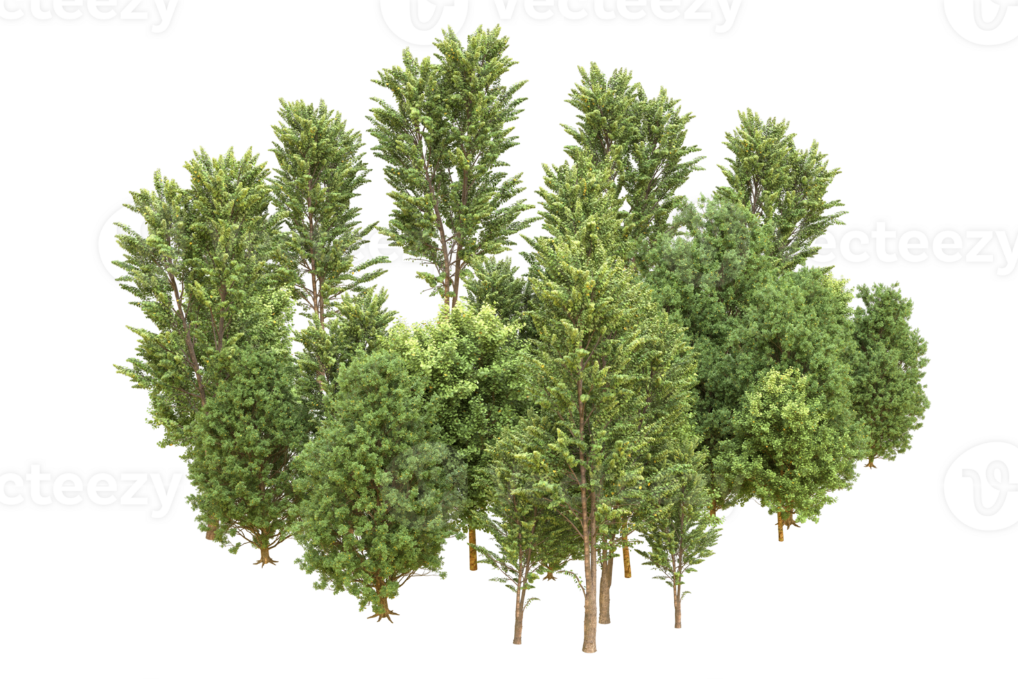 Realistic forest isolated on transparent background. 3d rendering - illustration png