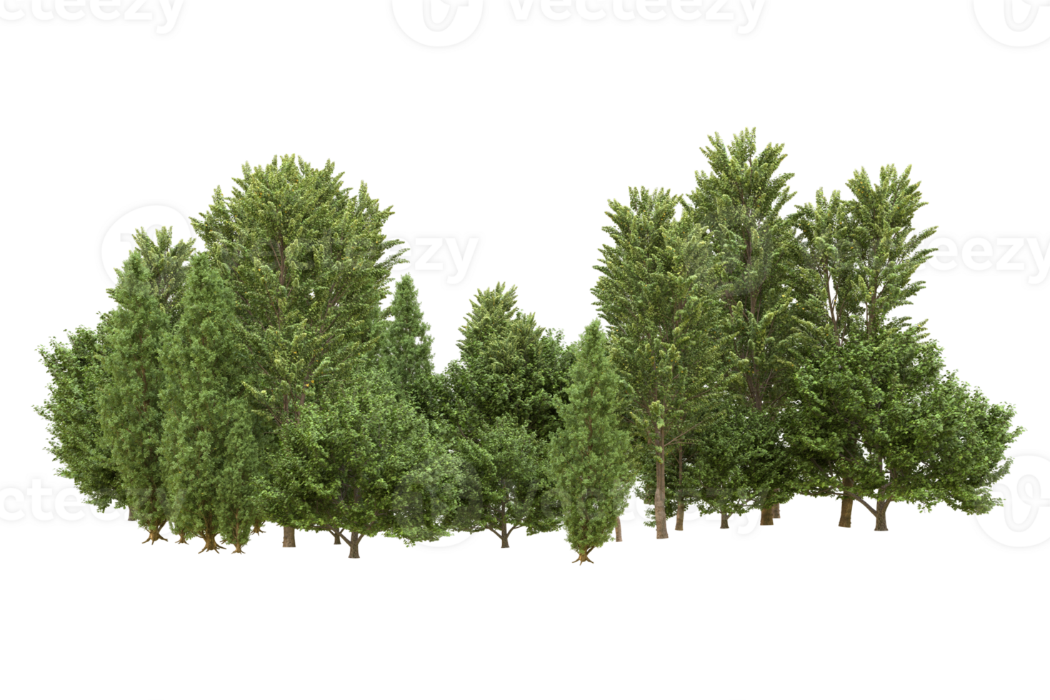 Realistic forest isolated on transparent background. 3d rendering - illustration png