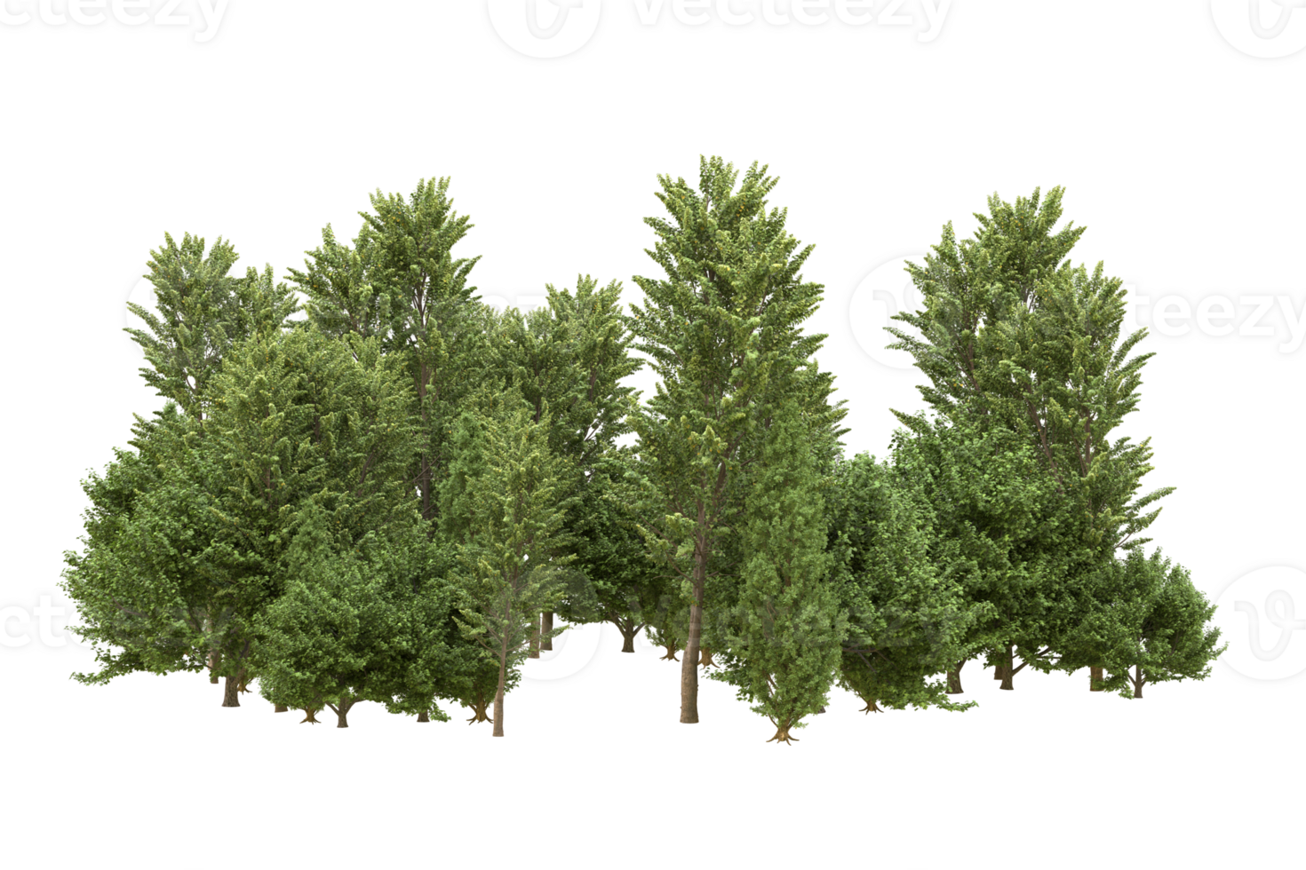 Realistic forest isolated on transparent background. 3d rendering - illustration png