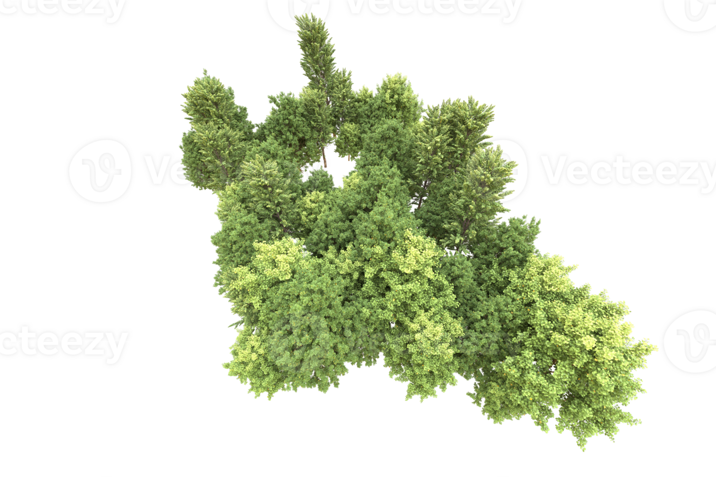 Realistic forest isolated on transparent background. 3d rendering - illustration png