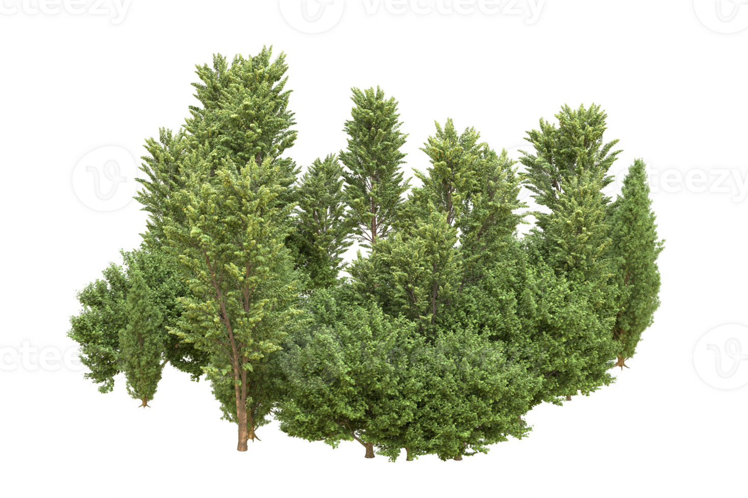 Realistic forest isolated on transparent background. 3d rendering - illustration png