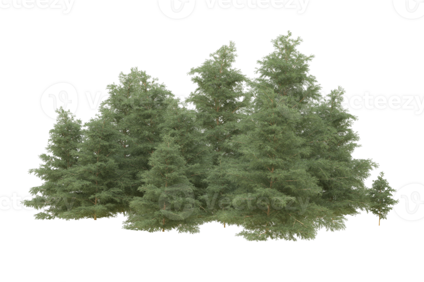 Realistic forest isolated on transparent background. 3d rendering - illustration png
