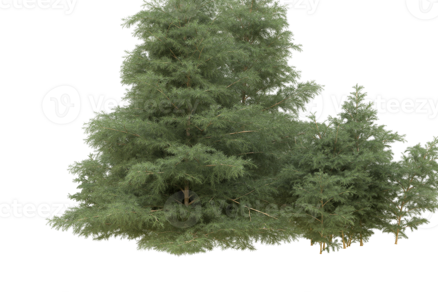 Realistic forest isolated on transparent background. 3d rendering - illustration png