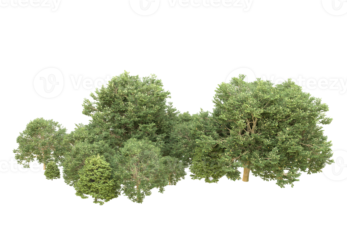 Realistic forest isolated on transparent background. 3d rendering - illustration png