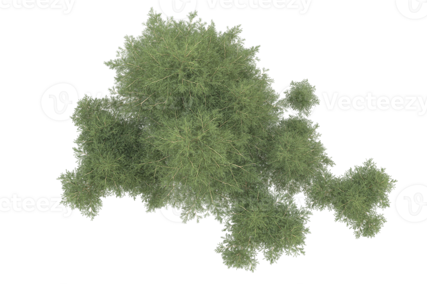 Realistic forest isolated on transparent background. 3d rendering - illustration png