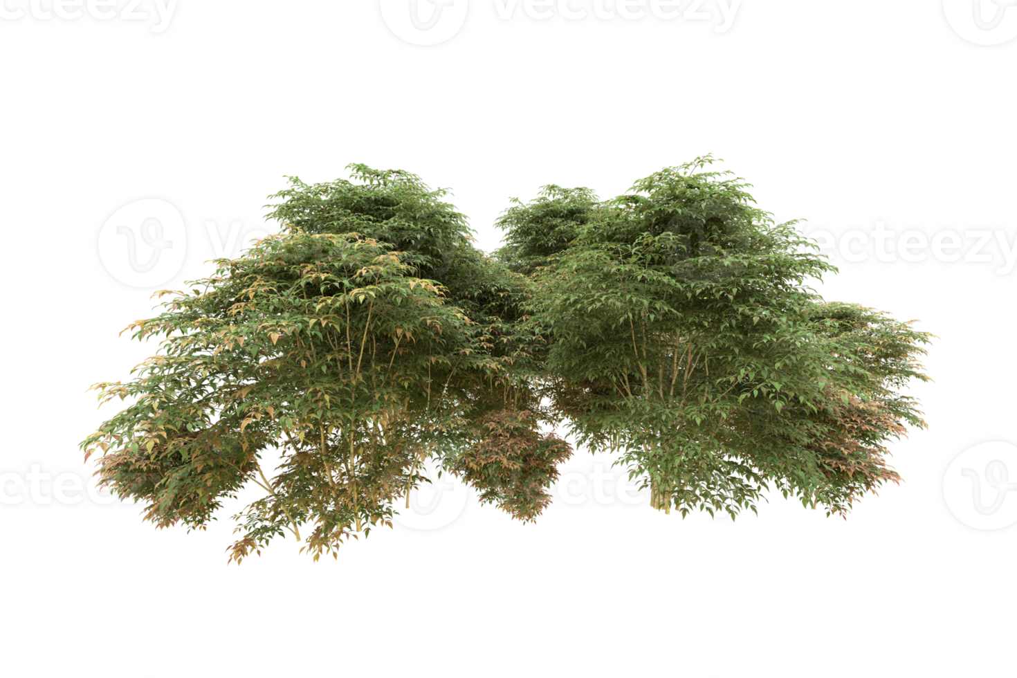 Realistic forest isolated on transparent background. 3d rendering - illustration png
