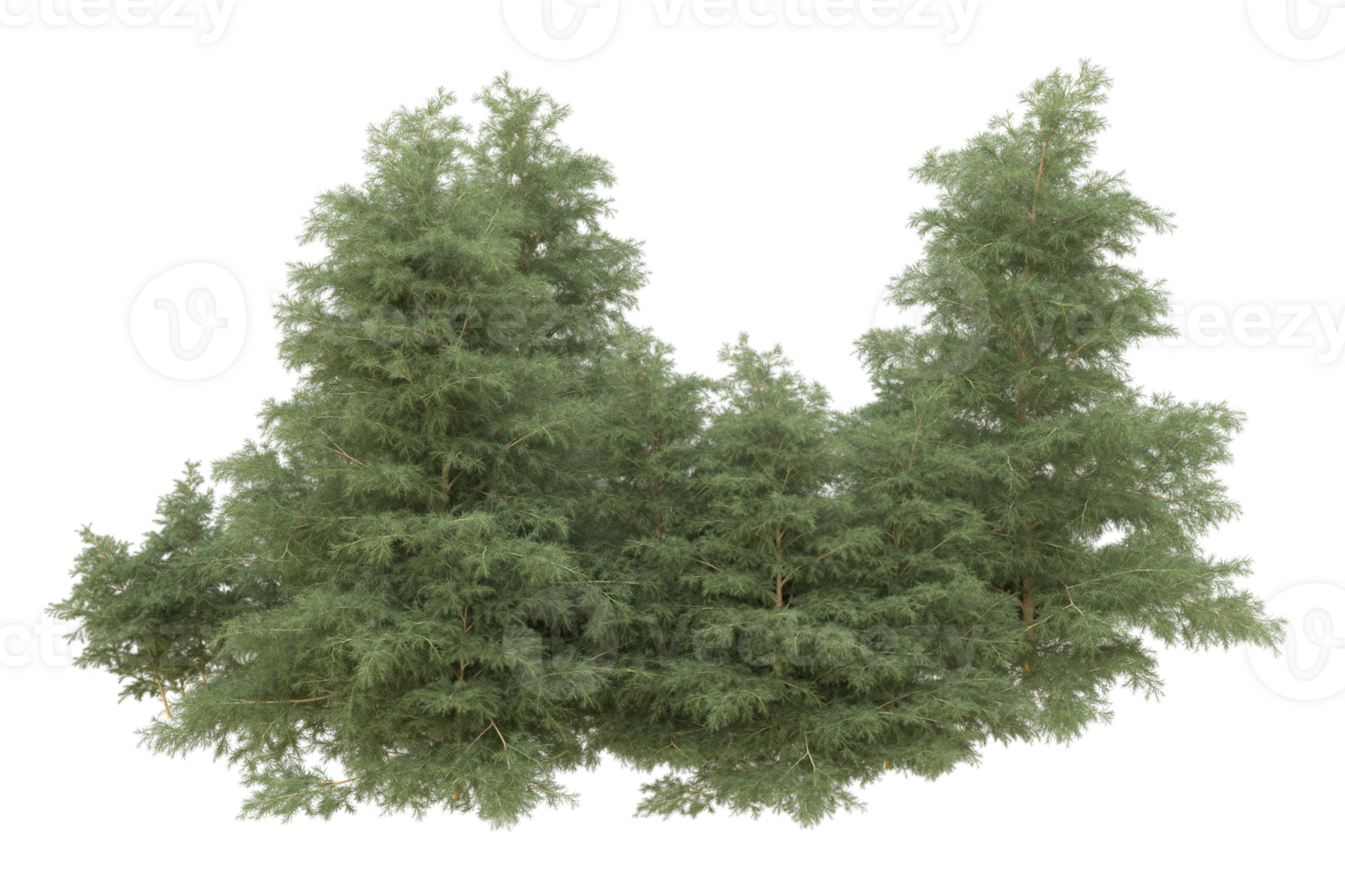 Realistic forest isolated on transparent background. 3d rendering - illustration png