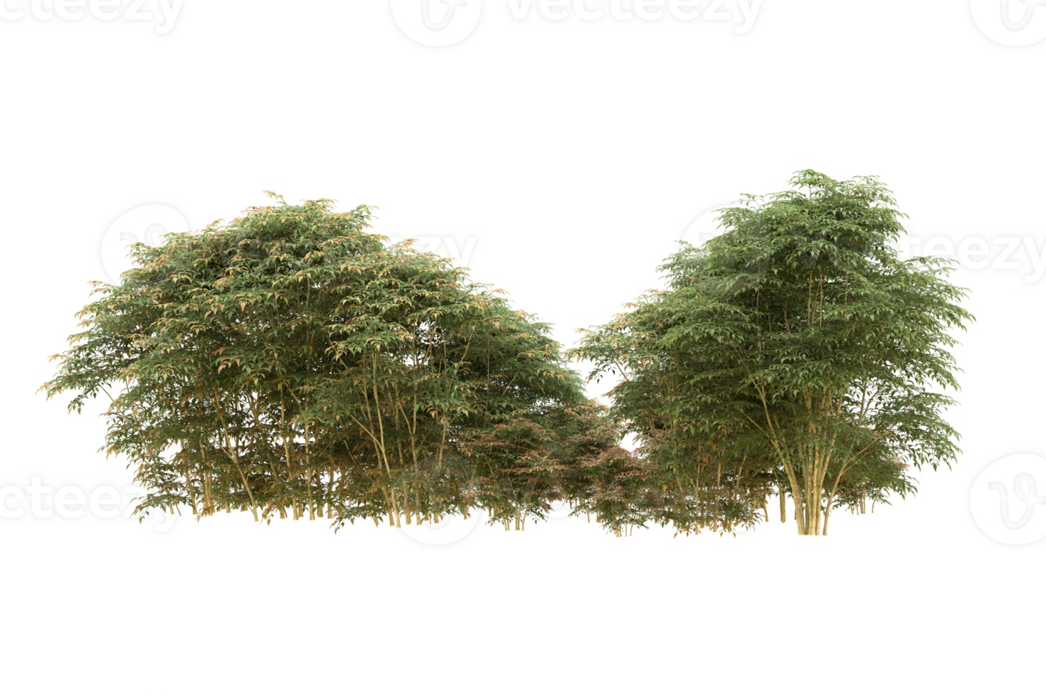 Realistic forest isolated on transparent background. 3d rendering - illustration png