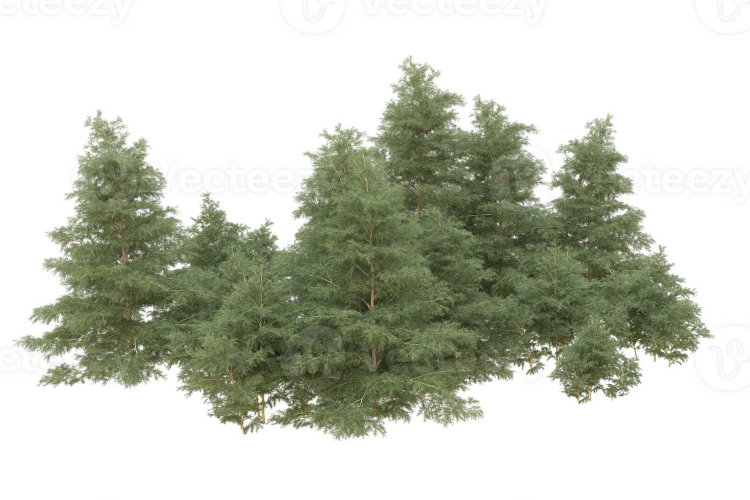 Realistic forest isolated on transparent background. 3d rendering - illustration png