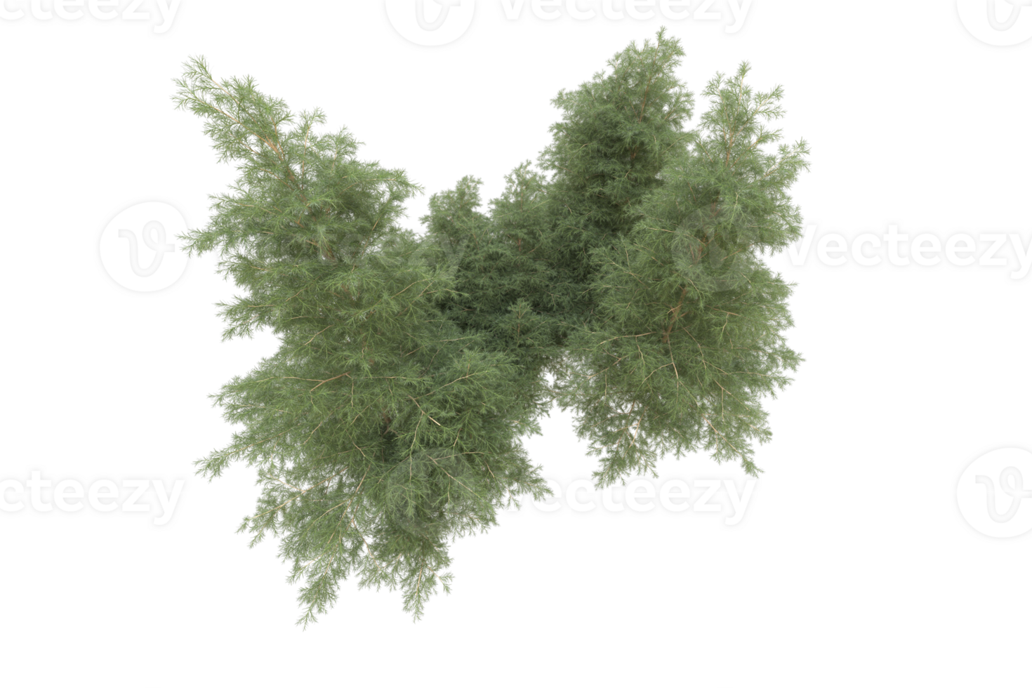 Realistic forest isolated on transparent background. 3d rendering - illustration png