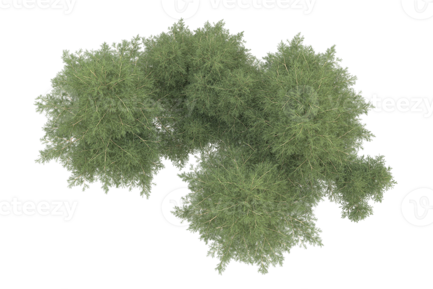 Realistic forest isolated on transparent background. 3d rendering - illustration png