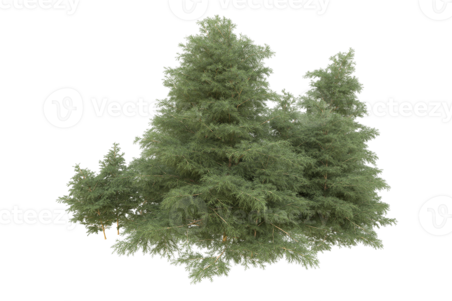 Realistic forest isolated on transparent background. 3d rendering - illustration png