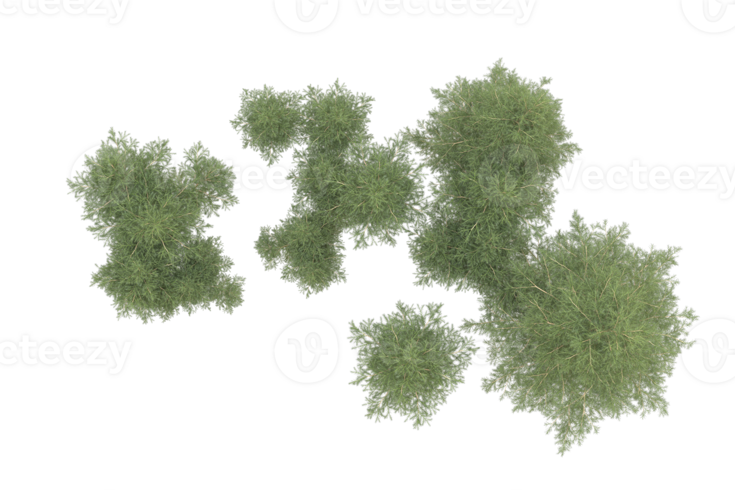 Realistic forest isolated on transparent background. 3d rendering - illustration png