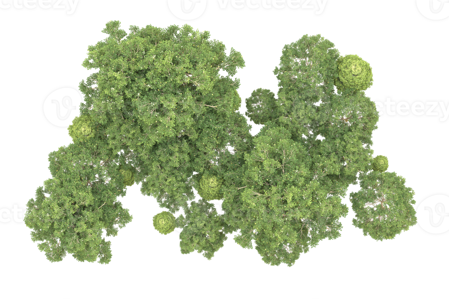 Realistic forest isolated on transparent background. 3d rendering - illustration png