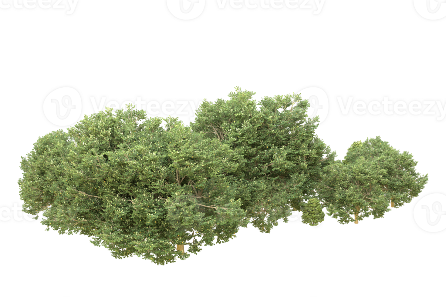 Realistic forest isolated on transparent background. 3d rendering - illustration png