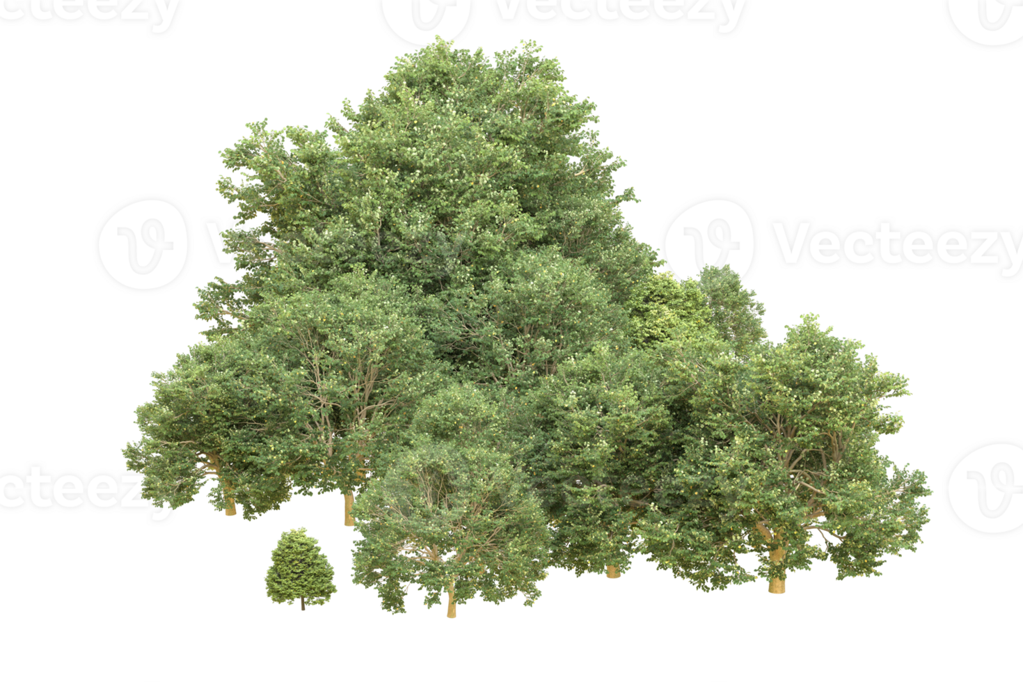 Realistic forest isolated on transparent background. 3d rendering - illustration png