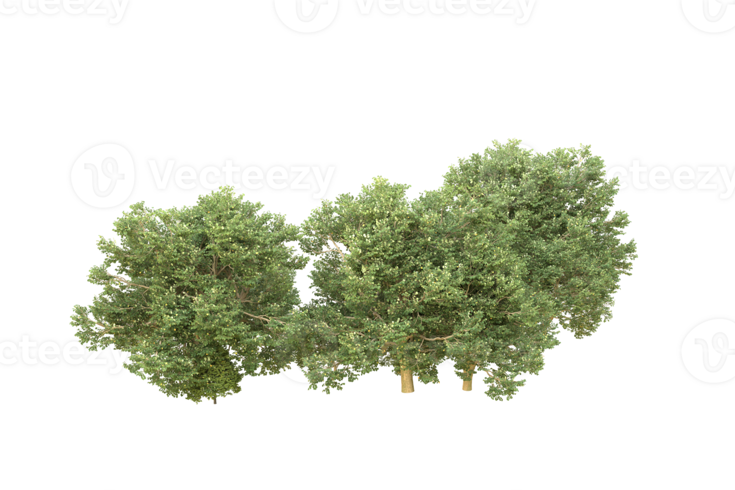 Realistic forest isolated on transparent background. 3d rendering - illustration png