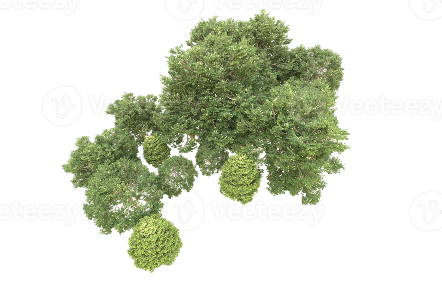 Realistic forest isolated on transparent background. 3d rendering - illustration png