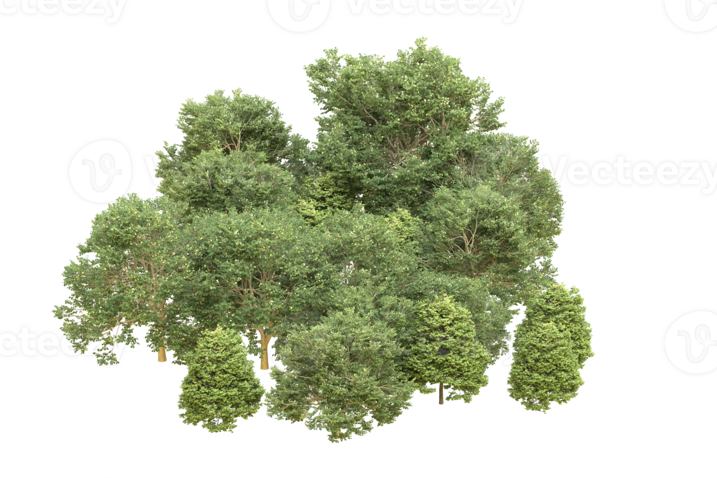 Realistic forest isolated on transparent background. 3d rendering - illustration png
