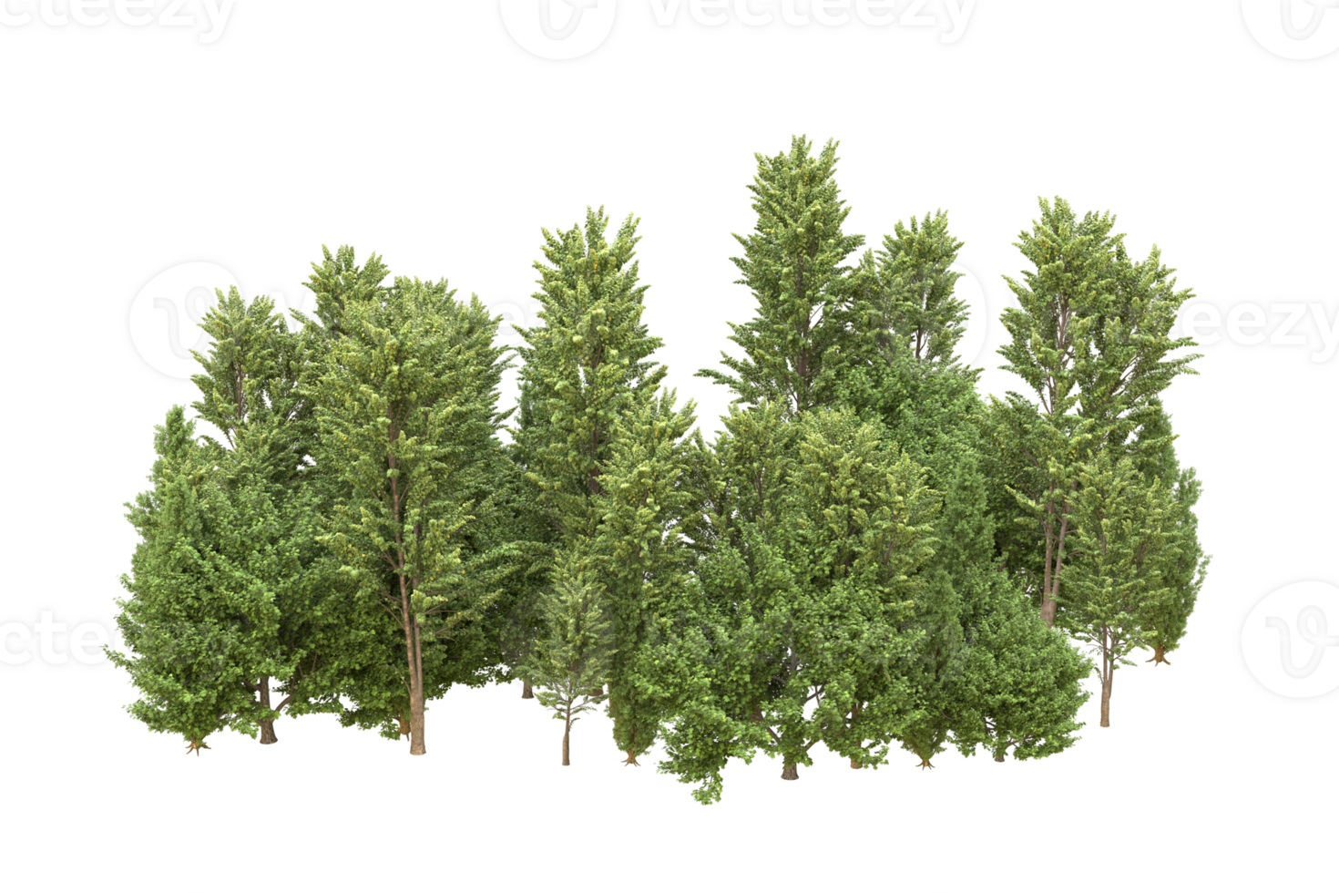 Realistic forest isolated on transparent background. 3d rendering - illustration png