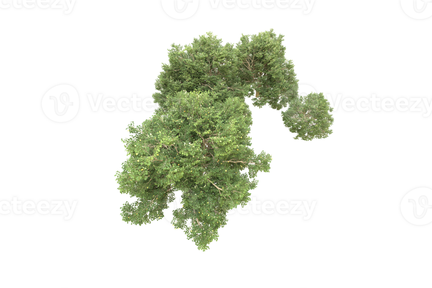 Realistic forest isolated on transparent background. 3d rendering - illustration png