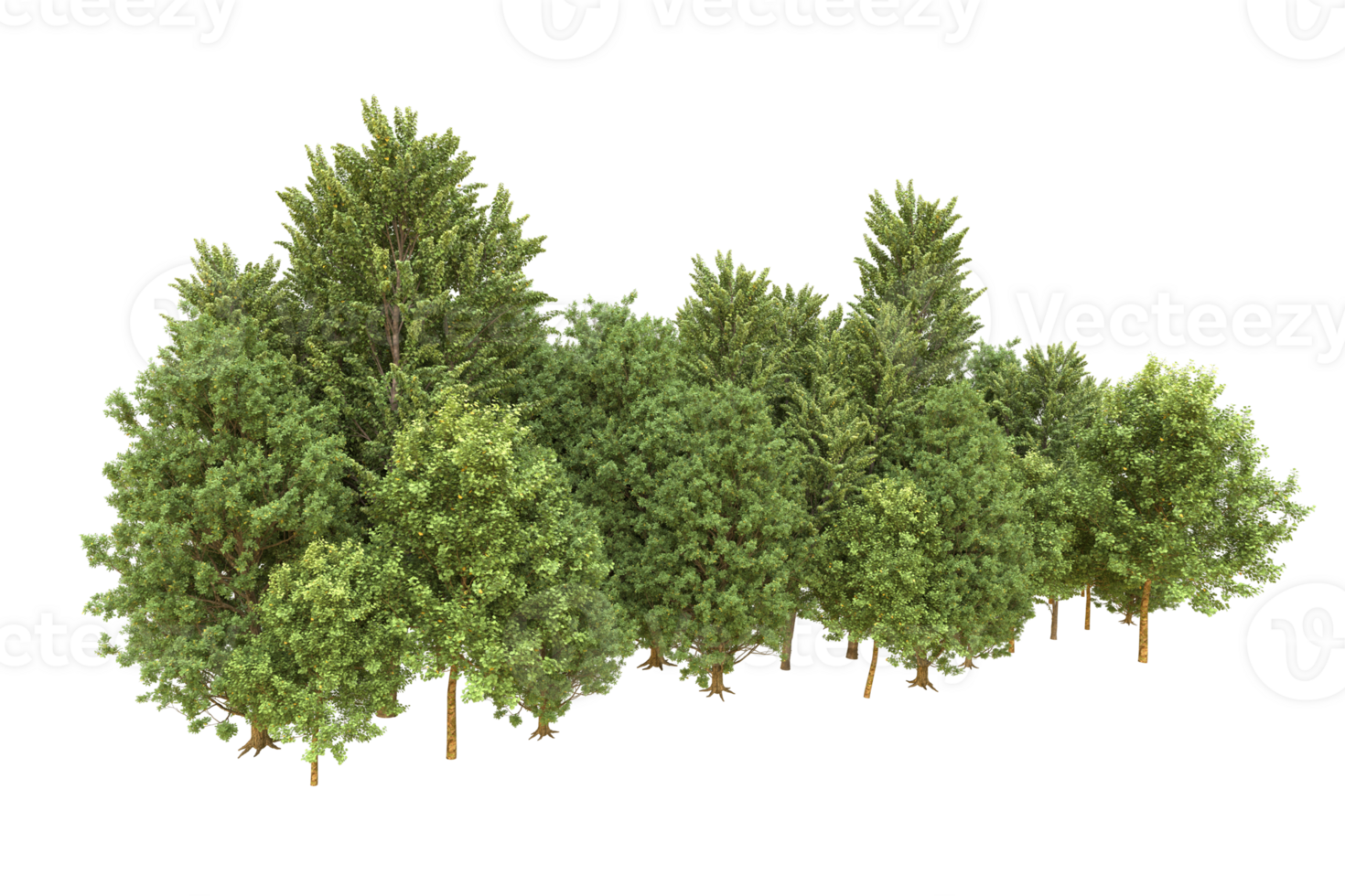 Realistic forest isolated on transparent background. 3d rendering - illustration png