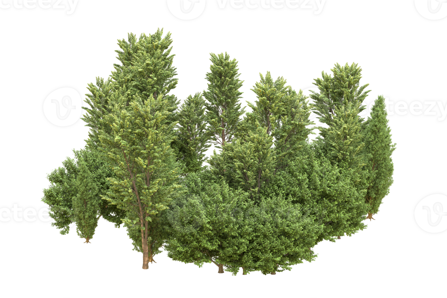 Realistic forest isolated on transparent background. 3d rendering - illustration png