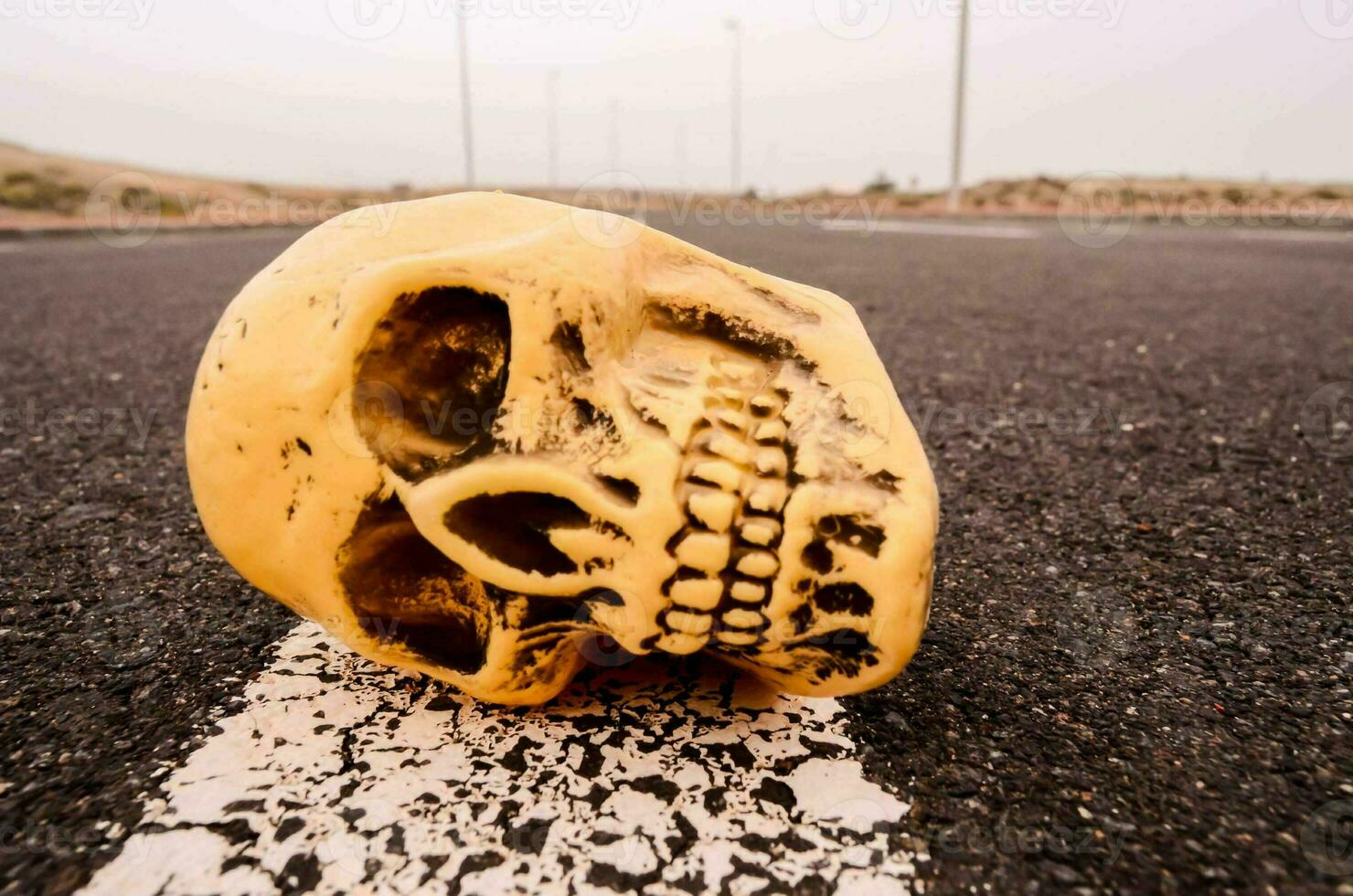 a skull on the road photo